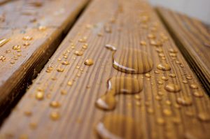timber-seal-01
